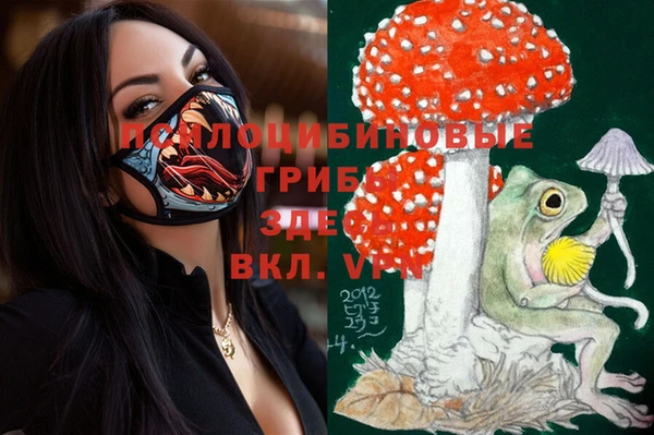 дмт Белокуриха