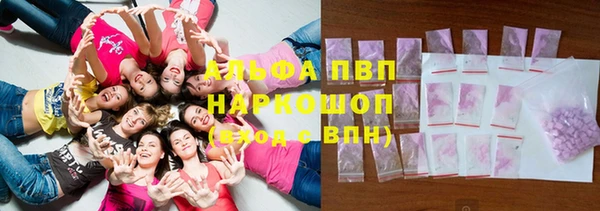 дмт Белокуриха