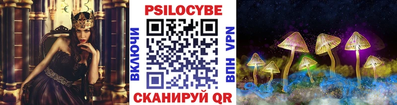 Псилоцибиновые грибы Cubensis Плёс