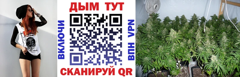 kraken как зайти  Плёс  Бошки Шишки конопля 
